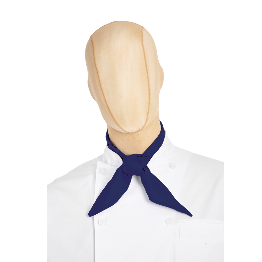 Kit Cocina Universidad de Celaya Caballero