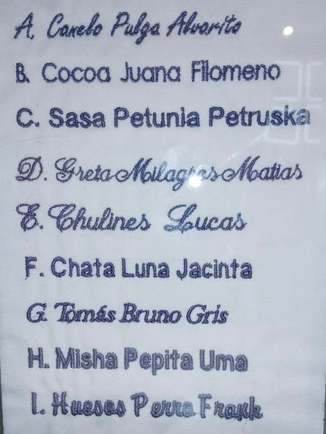 Nombre Bordado frente izquierdo