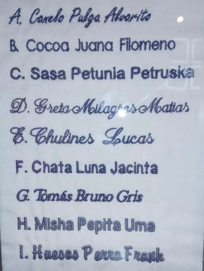 Nombre Bordado frente izquierdo